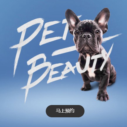 白城宠物中心小程序开发