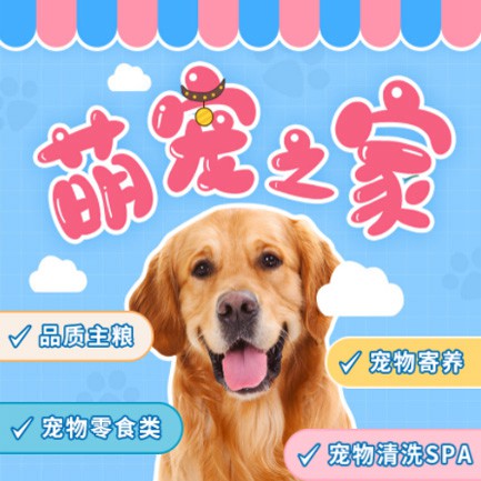 白城萌宠之家小程序开发