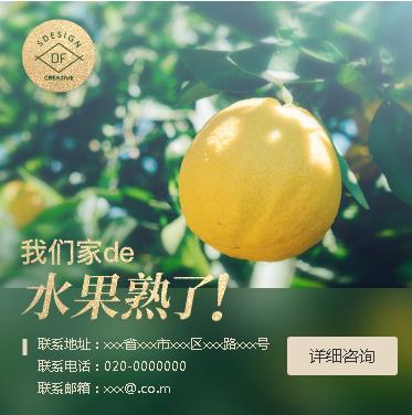 白城果园果林小程序开发